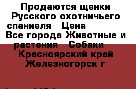 Продаются щенки Русского охотничьего спаниеля › Цена ­ 25 000 - Все города Животные и растения » Собаки   . Красноярский край,Железногорск г.